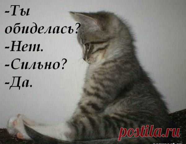 Игорь: Человек может все. Если его заставить