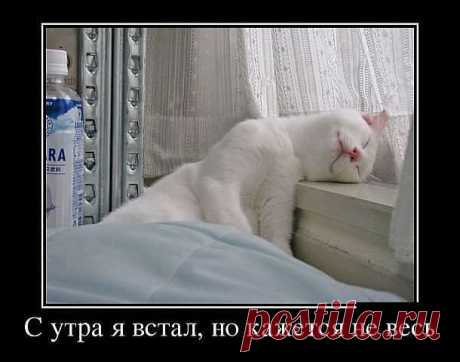 ♥ ВСЕМ ДОБРА ♥