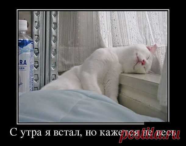 ♥ ВСЕМ ДОБРА ♥