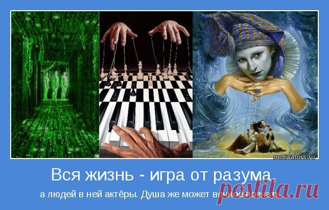 Верх ума назовут безумием, как и крайнюю его тупость. Только посредственность всегда в похвале у людей.