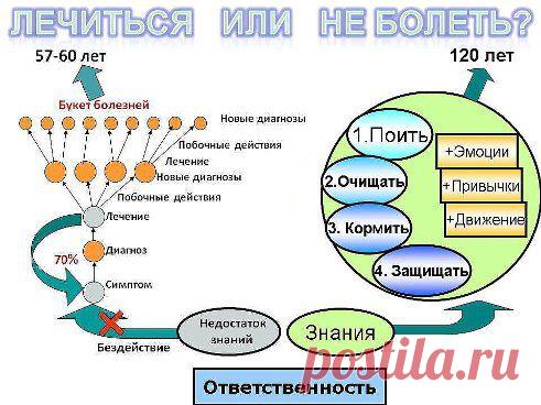 Философия красоты и здоровья.