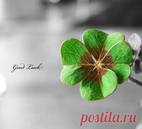 Как сделать так, чтобы всегда везло?