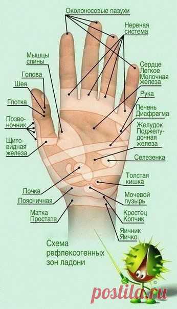 Секрет Древних Врачевателей! Всего одно движение улучшит Ваше здоровье!