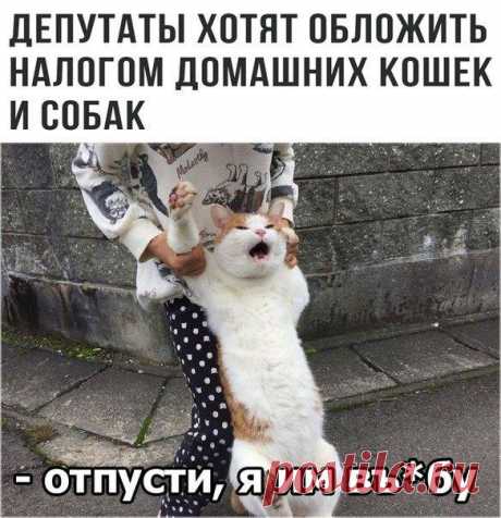 Без комментария