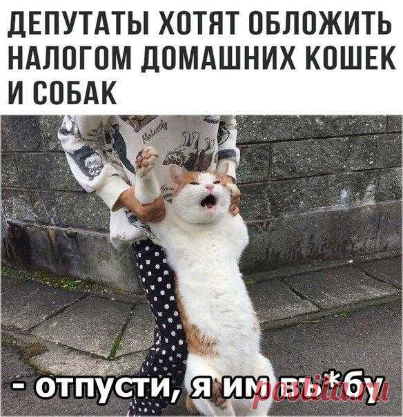 Без комментария