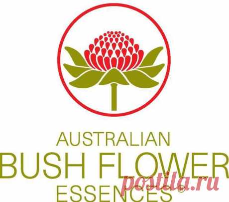 ДЛЯ ЭМОЦИОНАЛЬНОГО И ФИЗИЧЕСКОГО ЗДОРОВЬЯ ( AUSTRALIAN BUSH FLOWERS ESSENCES)Перевод с итальянского Natalie Ballard

Диапазон 66 эссенций, которые можно использовать по отдельности или в сочетании для лечения любого конкретного эмоционального состояния. Они доступны в виде концентрата или готовые к использованию в виде комбинированных ессенций скорой помощи. Великолепная подборка для личного использования, для врачей, психологов, психотерапевтов..Далее&gt;&gt;&gt;