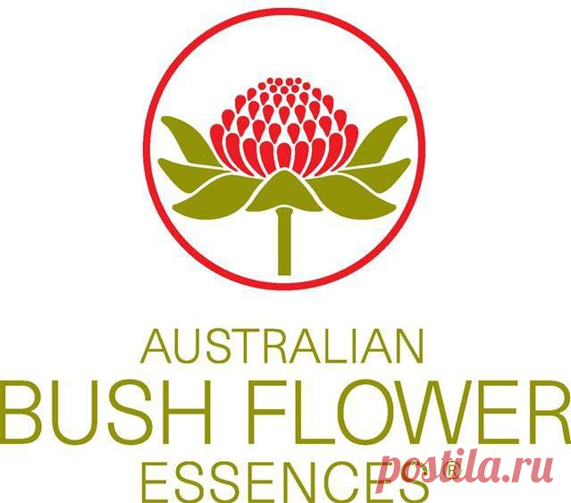 ДЛЯ ЭМОЦИОНАЛЬНОГО И ФИЗИЧЕСКОГО ЗДОРОВЬЯ ( AUSTRALIAN BUSH FLOWERS ESSENCES)Перевод с итальянского Natalie Ballard

Диапазон 66 эссенций, которые можно использовать по отдельности или в сочетании для лечения любого конкретного эмоционального состояния. Они доступны в виде концентрата или готовые к использованию в виде комбинированных ессенций скорой помощи. Великолепная подборка для личного использования, для врачей, психологов, психотерапевтов..Далее>>>
