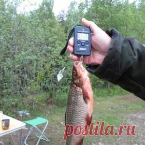 Бюджетная прикормка - МирТесен