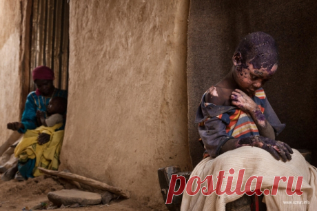 Конкурс World Press Photo определил фотографию года