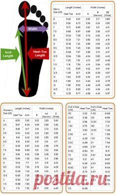 How to measure your foot.