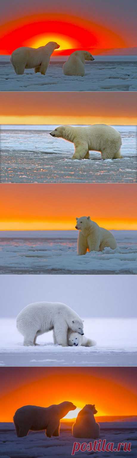 Великолепная Аляска / Туристический спутник