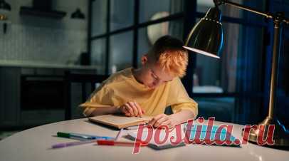 Методист Попова: рабочее место ученика должно быть хорошо освещено. Методист, управляющая Pelican Country club Галина Попова дала советы родителям по подготовке детей к началу учебного года. Читать далее