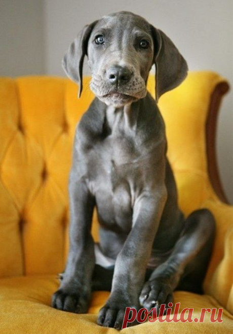 (162) Pinterest