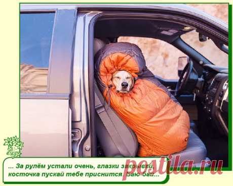 Хорошего Вам настроения.
