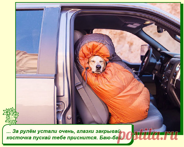Хорошего Вам настроения.