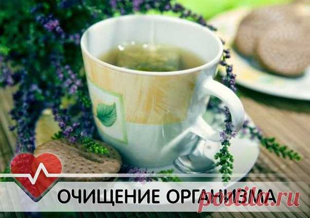 Очищение организма в домашних условиях народными средствами
Несмотря на огромный прогресс в технике, сфере косметологии и медицины, люди не перестали использовать народные средства для лечения различных заболеваний. Безусловно, это связано с высокой эффективностью народной медицины, ее доступностью и относительной дешевизной. Народные средства хорошо зарекомендовали себя, поскольку используются многими поколениями.