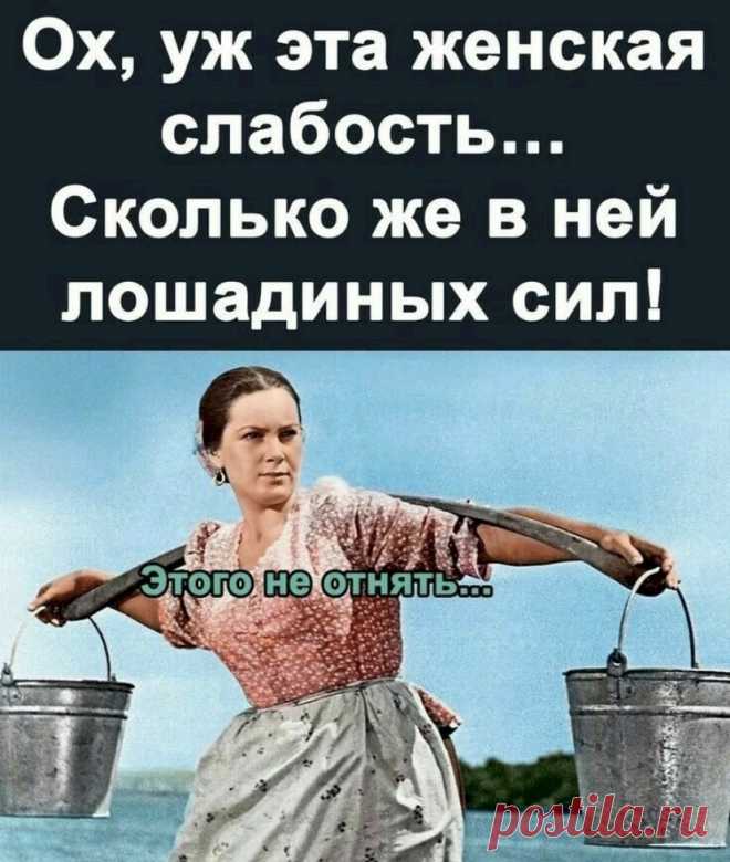 Выпуск №6512 - выпуск анекдотов сайта вокруг смеха
