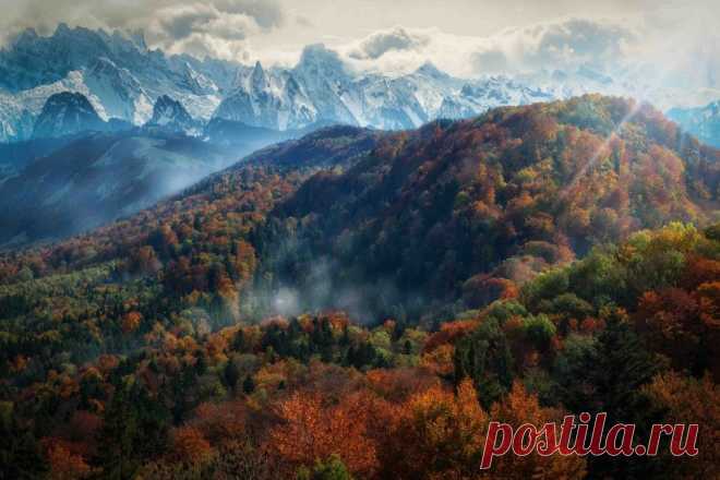 Лучи солнца проникают сквозь гущу деревьев, Альпы, Швейцария.  picxis  |  20 мест, где осень невероятно прекрасна  |  adme.ru