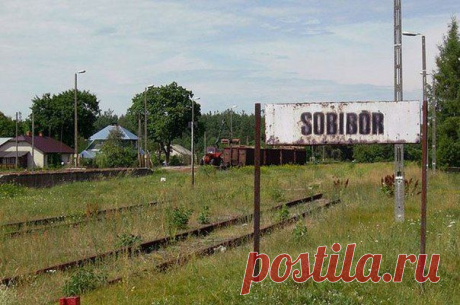 Бунт в Собиборе / История цивилизаций!