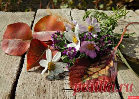 ✿ღ✿Никогда не говорите, что день плохой✿ღ✿