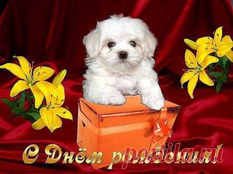 С днем рождения!

Жми Класс чтоб и ваши друзья увидели!