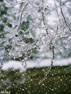 1098624.gif (240×320)