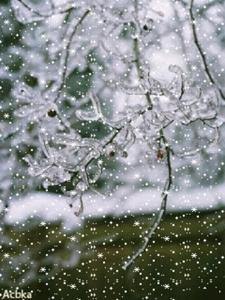 1098624.gif (240×320)