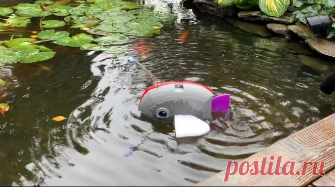 Рыба-удильщик на 3D-принтере Чем украсить пруд на своем участке? Помимо живой рыбы можно изготовить и запустить в пруд рыбу-удильщика. Для ее изготовления нужны следующие Инструменты и материалы:-Двигатель 3 В;-Провод;-Синий светодиод;-10 скрепок;-Скотч;-Малярная лента;-Толстая проволока;-Трубка из пеностирола для