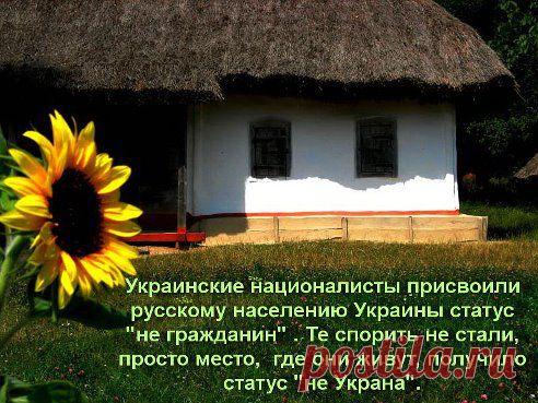 Против ЕС – Евгений Вислов добавил фотографию в альбом Сопротивление ДОНБАССА