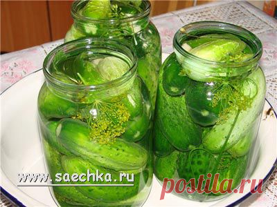 Соленые огурцы | рецепты на Saechka.Ru