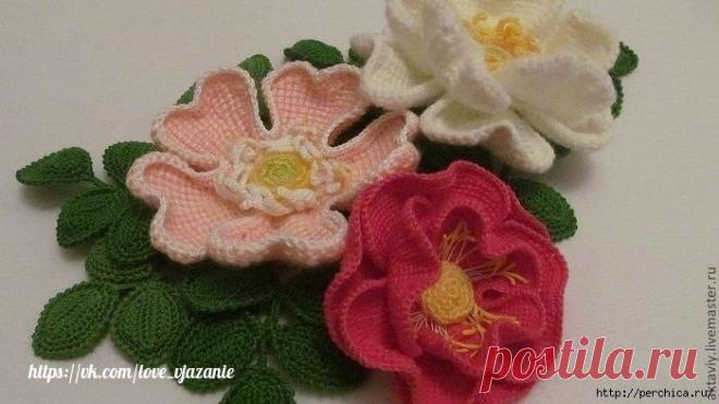 ШИПОВНИК ТУНИССКИМ ВЯЗАНИЕМ — МАСТЕР-КЛАСС (Вязаные цветы) | Журнал Вдохновение Рукодельницы