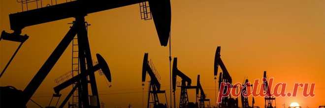 Почему система "Только Деньги" работает и приносит доход всем участникам