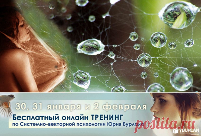 Луиза Древсхольт. Системный психоанализ. Унесенная бессознательным... - Два полюса одной любви