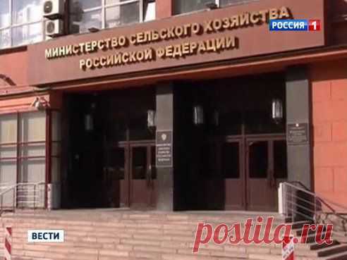 (51) Одноклассники