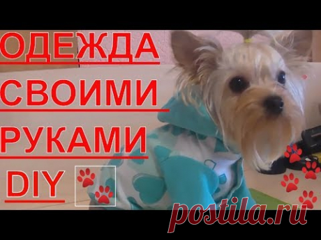 Одежда для собак. DIY. Своими руками.Часть 1
