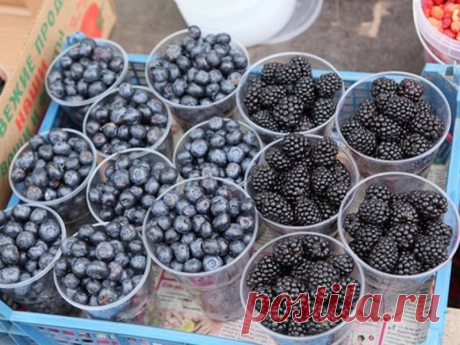Продукты с флавоноидами улучшают механизмы контроля глюкозы в организме