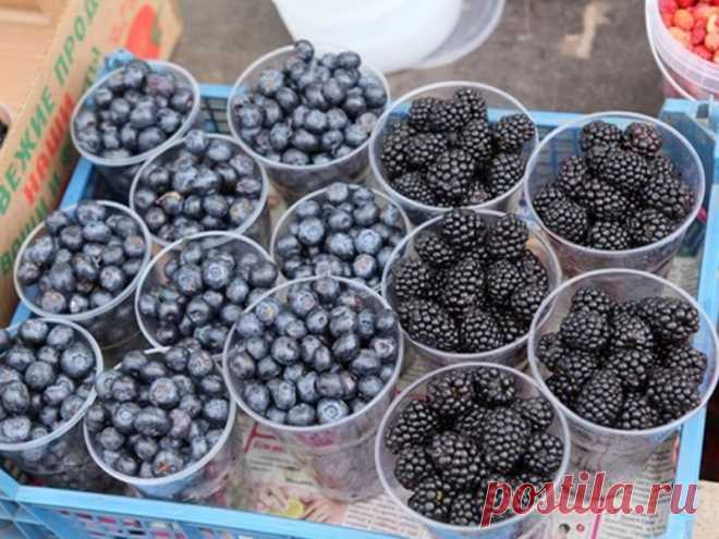 Продукты с флавоноидами улучшают механизмы контроля глюкозы в организме