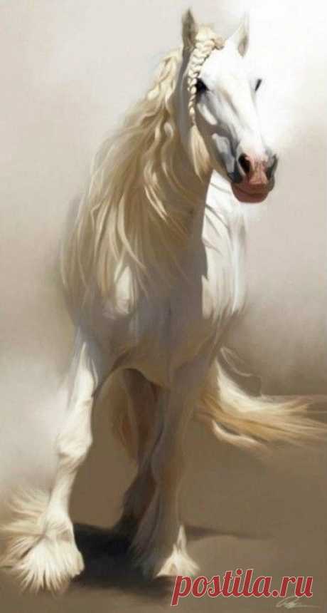 Horses | Flickr - Photo Sharing!