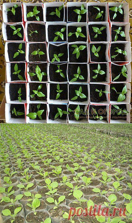 Готовимся к посевной