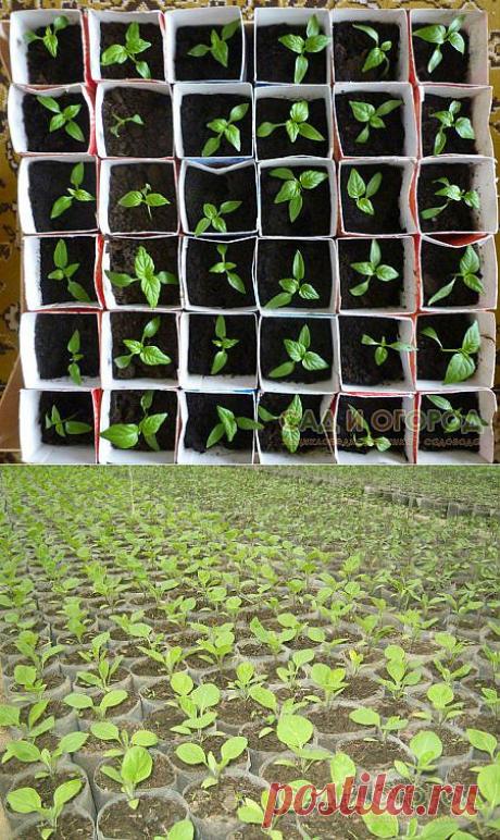 Готовимся к посевной