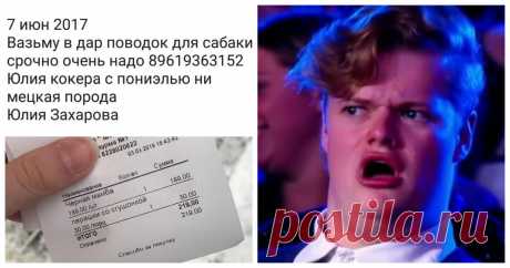 Грамотеи современности, по которым начальная школа плачет . Тут забавно !!!