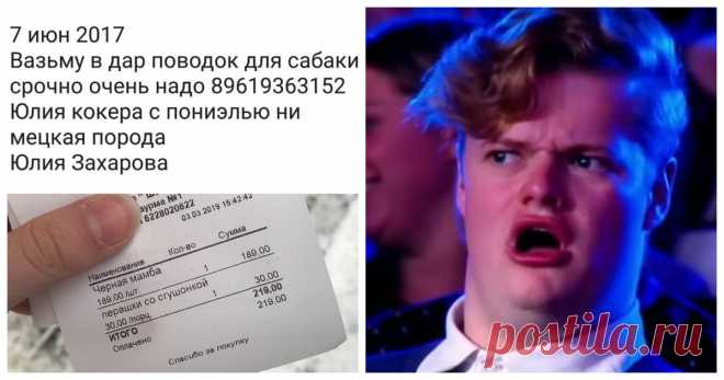 Грамотеи современности, по которым начальная школа плачет . Тут забавно !!!