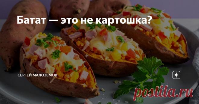 Батат — это не картошка? Статья автора «Сергей Малозёмов» в Дзене ✍: До сих пор слышу: «Сергей, это же просто сладкая картошка!