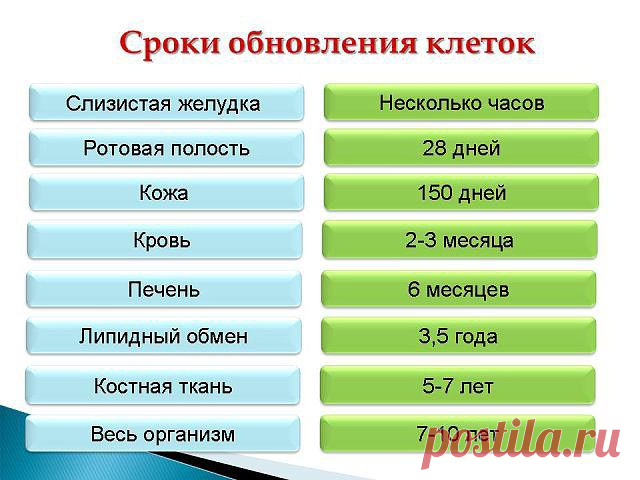 Анастасия Горшкова (Coral Club)
Казахстан, Шахтинск
все её фото