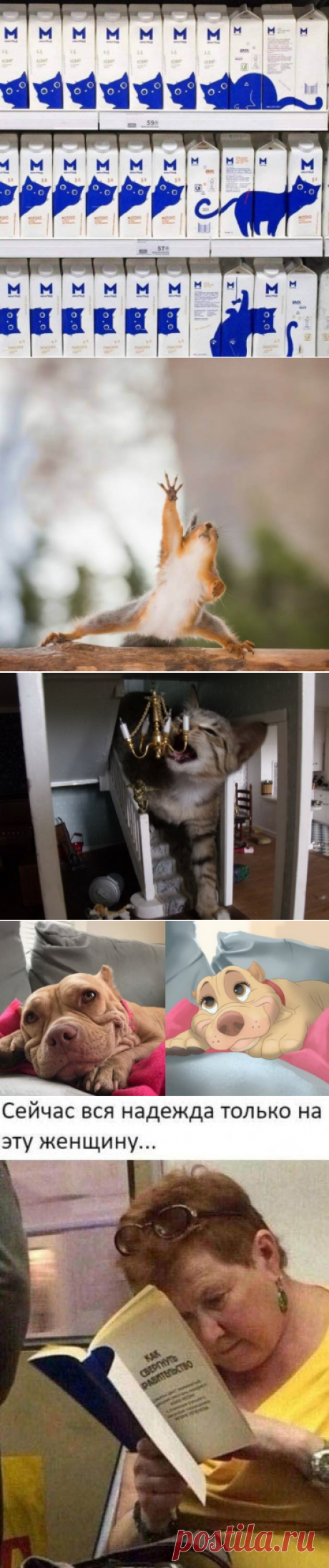 Подборка прикольных картинок и фотографий-260