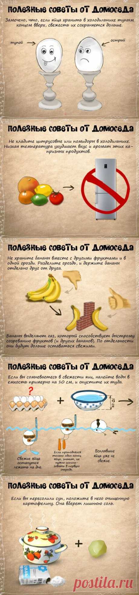 Советы от домоседа - Советы на каждый день