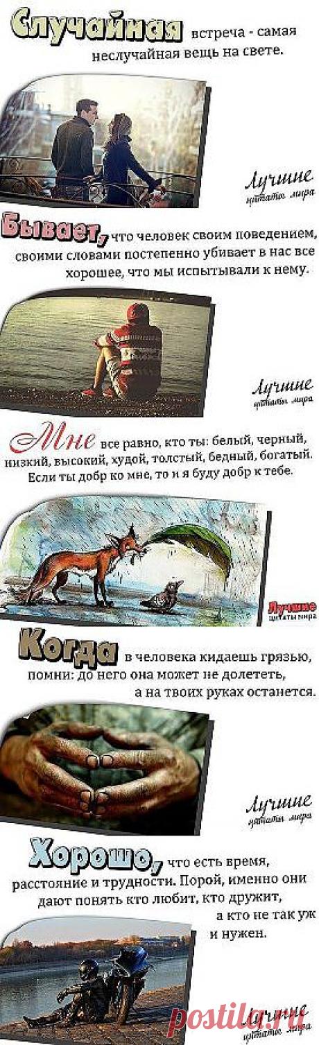 Одноклассники