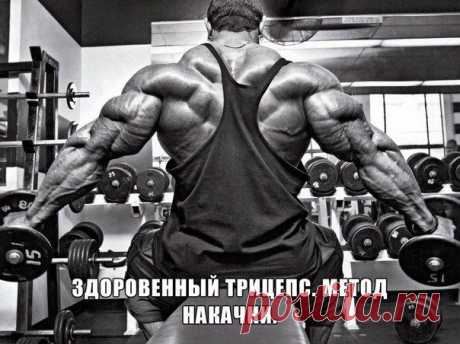 ЗДОРОВЕННЫЙ ТРИЦЕПС / Спорт Сильных!