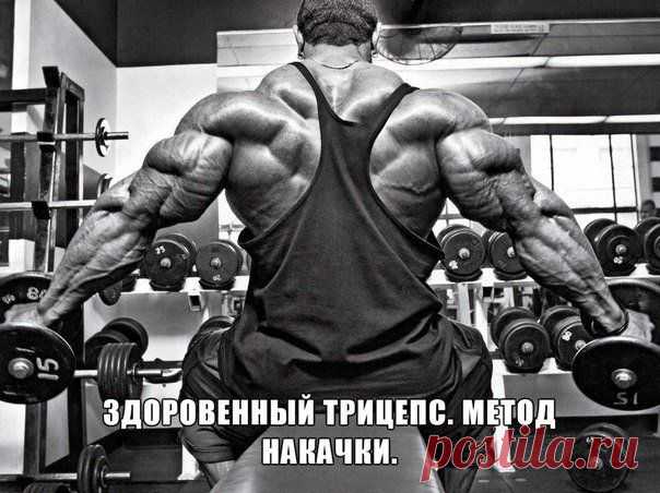 ЗДОРОВЕННЫЙ ТРИЦЕПС / Спорт Сильных!
