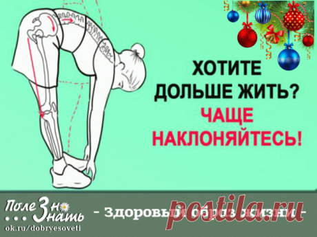 Хотите дольше жить? Чаще наклоняйтесь.